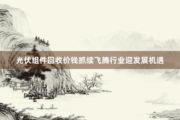 光伏组件回收价钱抓续飞腾行业迎发展机遇