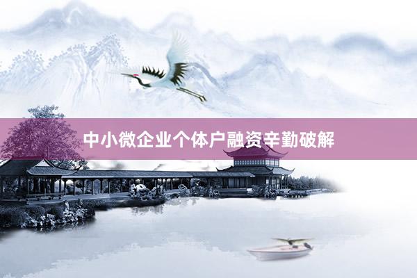 中小微企业个体户融资辛勤破解