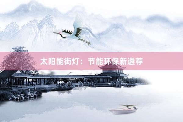 太阳能街灯：节能环保新遴荐